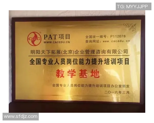 北京排球队灵活性探讨：如何提升战术应变能力与团队协作